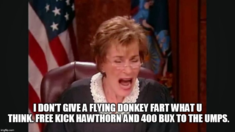 Facebook court | I DON'T GIVE A FLYING DONKEY FART WHAT U THINK. FREE KICK HAWTHORN AND 400 BUX TO THE UMPS. | image tagged in facebook court | made w/ Imgflip meme maker