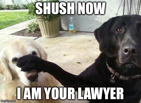 Dogs | SHUSH NOW; I AM YOUR LAWYER | image tagged in dogs | made w/ Imgflip meme maker
