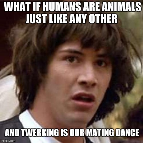 Conspiracy Keanu | WHAT IF HUMANS ARE ANIMALS JUST LIKE ANY OTHER; AND TWERKING IS OUR MATING DANCE | image tagged in memes,conspiracy keanu | made w/ Imgflip meme maker