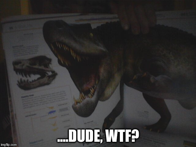 ....DUDE, WTF? | image tagged in dude,wtf | made w/ Imgflip meme maker
