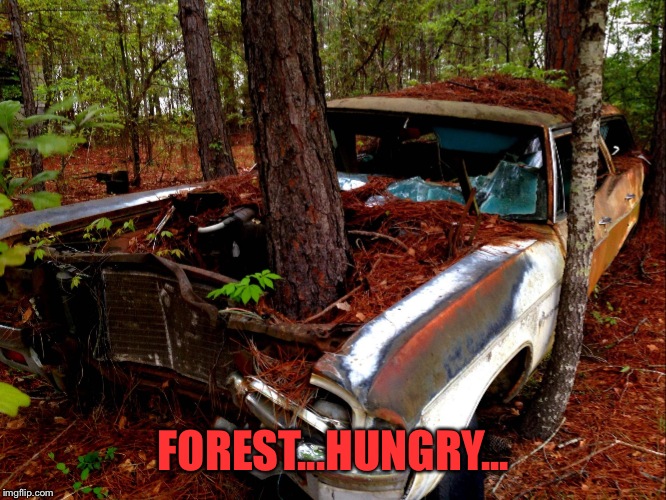 Old Car | FOREST...HUNGRY... | image tagged in old car | made w/ Imgflip meme maker