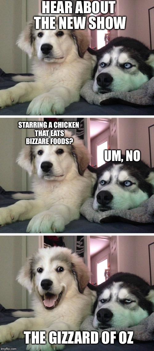 Bad pun dogs | HEAR ABOUT THE NEW SHOW; STARRING A CHICKEN THAT EATS BIZZARE FOODS? UM, NO; THE GIZZARD OF OZ | image tagged in bad pun dogs | made w/ Imgflip meme maker