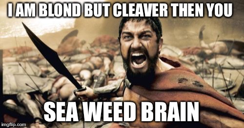 Sparta Leonidas | I AM BLOND BUT CLEAVER THEN YOU; SEA WEED BRAIN | image tagged in memes,sparta leonidas | made w/ Imgflip meme maker