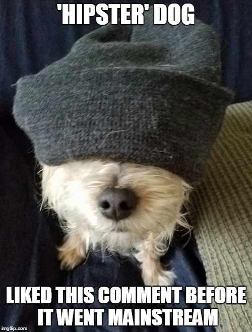 'Hipster' Dog | 'HIPSTER' DOG; LIKED THIS COMMENT BEFORE IT WENT MAINSTREAM | image tagged in humor,hipster dog,hipsters | made w/ Imgflip meme maker