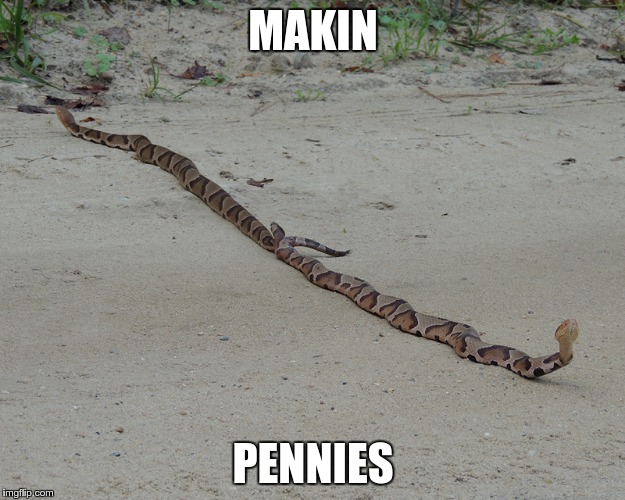 MAKIN PENNIES | made w/ Imgflip meme maker