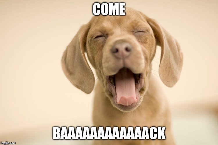 COME BAAAAAAAAAAAACK | made w/ Imgflip meme maker