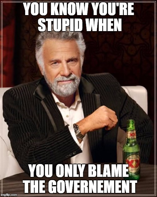 Most people do this when there life is shit | YOU KNOW YOU'RE STUPID WHEN; YOU ONLY BLAME THE GOVERNEMENT | image tagged in memes,the most interesting man in the world,government | made w/ Imgflip meme maker