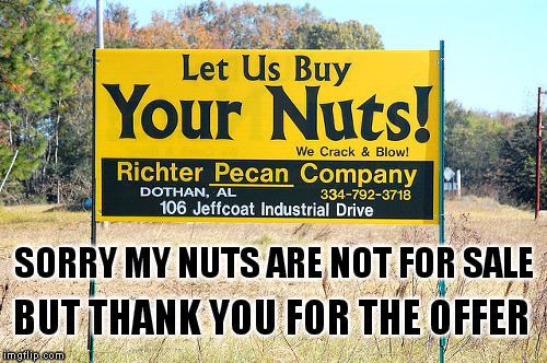 Would you sell your nuts? | SORRY MY NUTS ARE NOT FOR SALE; BUT THANK YOU FOR THE OFFER | image tagged in nuts,sign,funny,cutting,buys,funny signs | made w/ Imgflip meme maker