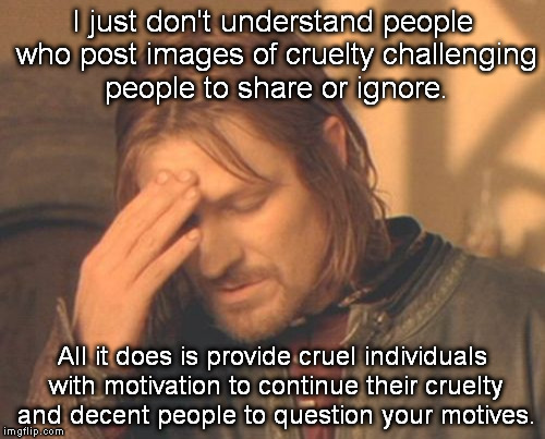 Frustrated Boromir Meme | I just don't understand people who post images of cruelty challenging people to share or ignore. All it does is provide cruel individuals with motivation to continue their cruelty and decent people to question your motives. | image tagged in memes,frustrated boromir | made w/ Imgflip meme maker