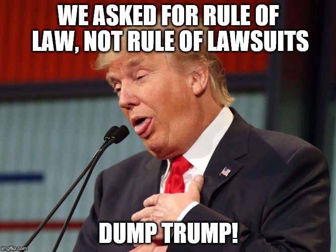 Rule of lawsuits | WE ASKED FOR RULE OF LAW, NOT RULE OF LAWSUITS; DUMP TRUMP! | image tagged in donald trump,gop,lawsuit | made w/ Imgflip meme maker