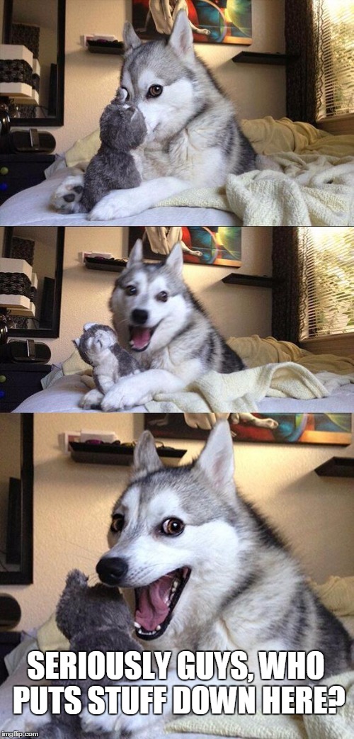 Bad Pun Dog | SERIOUSLY GUYS, WHO PUTS STUFF DOWN HERE? | image tagged in memes,bad pun dog | made w/ Imgflip meme maker