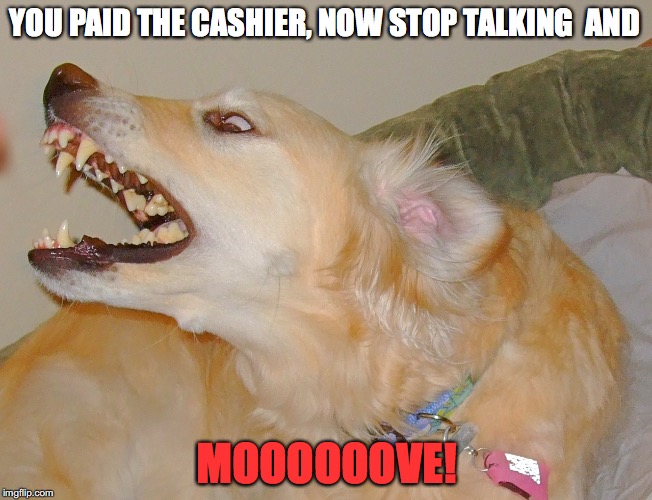 Mooove | YOU PAID THE CASHIER, NOW STOP TALKING  AND; MOOOOOOVE! | image tagged in dog joke | made w/ Imgflip meme maker