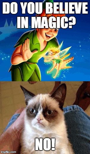Grumpy Cat Does Not Believe | DO YOU BELIEVE IN MAGIC? NO! | image tagged in memes,grumpy cat does not believe,grumpy cat | made w/ Imgflip meme maker