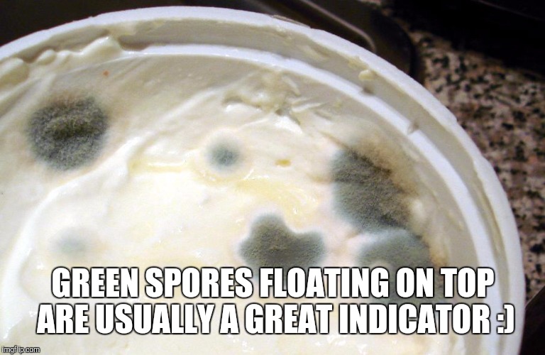GREEN SPORES FLOATING ON TOP ARE USUALLY A GREAT INDICATOR :) | made w/ Imgflip meme maker
