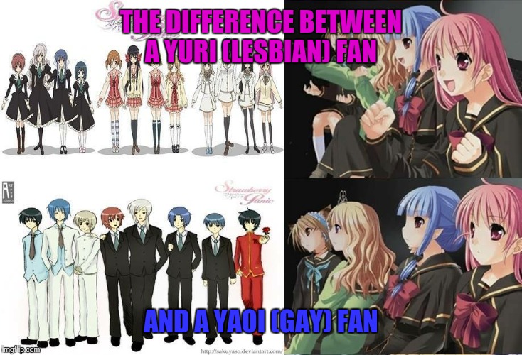 U gotta choose 1 and only 1 side | THE DIFFERENCE BETWEEN A YURI (LESBIAN) FAN; AND A YAOI (GAY) FAN | image tagged in strawberry panic yuri vs yaoi | made w/ Imgflip meme maker