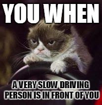 Grumpy Cat Car | YOU WHEN; A VERY SLOW DRIVING PERSON IS IN FRONT OF YOU | image tagged in grumpy cat car,memes,grumpy cat | made w/ Imgflip meme maker