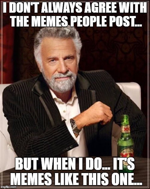 The Most Interesting Man In The World Meme | I DON'T ALWAYS AGREE WITH THE MEMES PEOPLE POST... BUT WHEN I DO... IT'S MEMES LIKE THIS ONE... | image tagged in memes,the most interesting man in the world | made w/ Imgflip meme maker