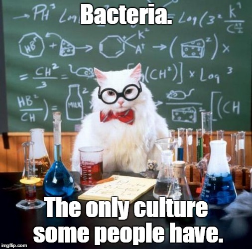 Chemistry Cat Meme | Bacteria. The only culture some people have. | image tagged in memes,chemistry cat | made w/ Imgflip meme maker