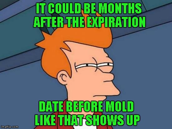 Futurama Fry Meme | IT COULD BE MONTHS AFTER THE EXPIRATION DATE BEFORE MOLD LIKE THAT SHOWS UP | image tagged in memes,futurama fry | made w/ Imgflip meme maker