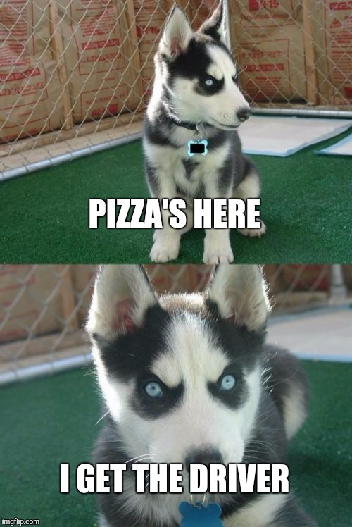 30 minutes or it's free | PIZZA'S HERE; I GET THE DRIVER | image tagged in memes,insanity puppy | made w/ Imgflip meme maker