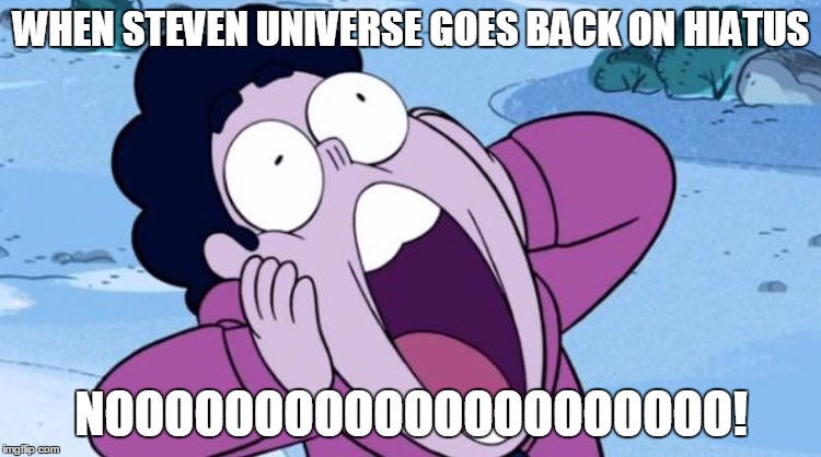SU Hiatus | WHEN STEVEN UNIVERSE GOES BACK ON HIATUS; NOOOOOOOOOOOOOOOOOOOOO! | image tagged in steven universe nooo,memes,hiatus | made w/ Imgflip meme maker