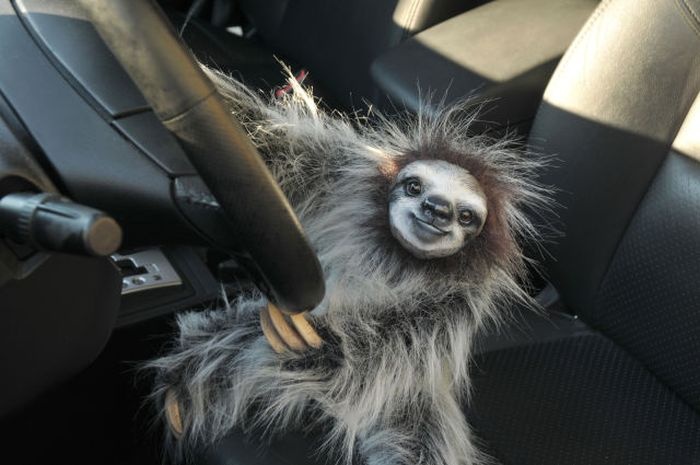 High Quality Sloth Driver Blank Meme Template
