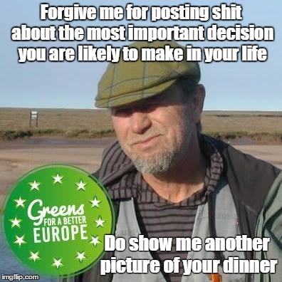 Forgive me... | Forgive me for posting shit about the most important decision you are likely to make in your life; Do show me another picture of your dinner | image tagged in political | made w/ Imgflip meme maker