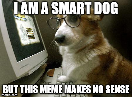 Smart Dog | I AM A SMART DOG; BUT THIS MEME MAKES NO SENSE | image tagged in smart dog | made w/ Imgflip meme maker