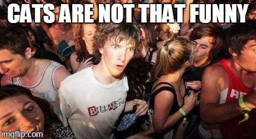 Sudden Clarity Clarence Meme | CATS ARE NOT THAT FUNNY | image tagged in memes,sudden clarity clarence | made w/ Imgflip meme maker