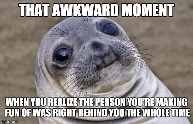 Awkward Moment Sealion Meme | THAT AWKWARD MOMENT; WHEN YOU REALIZE THE PERSON YOU'RE MAKING FUN OF WAS RIGHT BEHIND YOU THE WHOLE TIME | image tagged in memes,awkward moment sealion | made w/ Imgflip meme maker