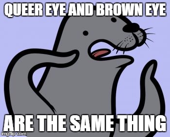 Homophobic Seal | QUEER EYE AND BROWN EYE; ARE THE SAME THING | image tagged in memes,homophobic seal | made w/ Imgflip meme maker