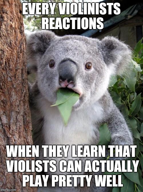 A violinists' shock | EVERY VIOLINISTS REACTIONS; WHEN THEY LEARN THAT VIOLISTS CAN ACTUALLY PLAY PRETTY WELL | image tagged in memes,surprised koala,viola,violas,violin,music | made w/ Imgflip meme maker