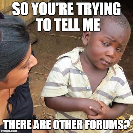Third World Skeptical Kid Meme | SO YOU'RE TRYING TO TELL ME; THERE ARE OTHER FORUMS? | image tagged in memes,third world skeptical kid | made w/ Imgflip meme maker