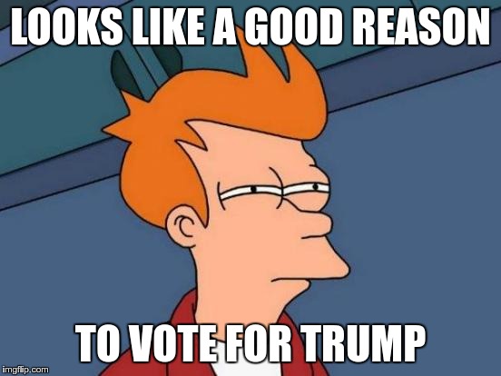 Futurama Fry Meme | LOOKS LIKE A GOOD REASON TO VOTE FOR TRUMP | image tagged in memes,futurama fry | made w/ Imgflip meme maker