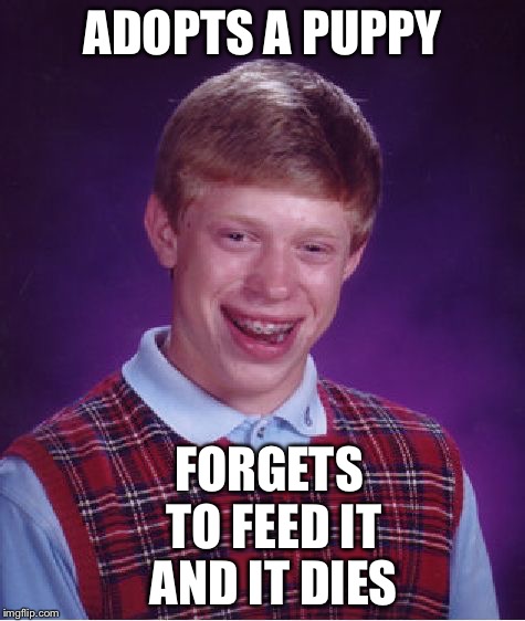 Bad Luck Brian | ADOPTS A PUPPY; FORGETS TO FEED IT AND IT DIES | image tagged in memes,bad luck brian | made w/ Imgflip meme maker