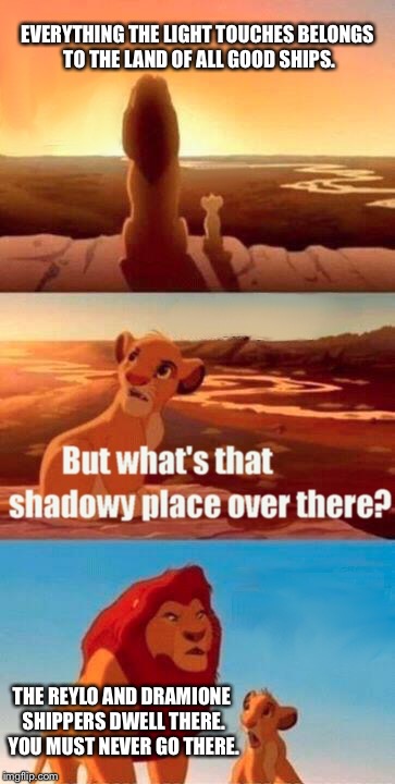 Simba Shadowy Place | EVERYTHING THE LIGHT TOUCHES BELONGS TO THE LAND OF ALL GOOD SHIPS. THE REYLO AND DRAMIONE SHIPPERS DWELL THERE. YOU MUST NEVER GO THERE. | image tagged in memes,simba shadowy place | made w/ Imgflip meme maker