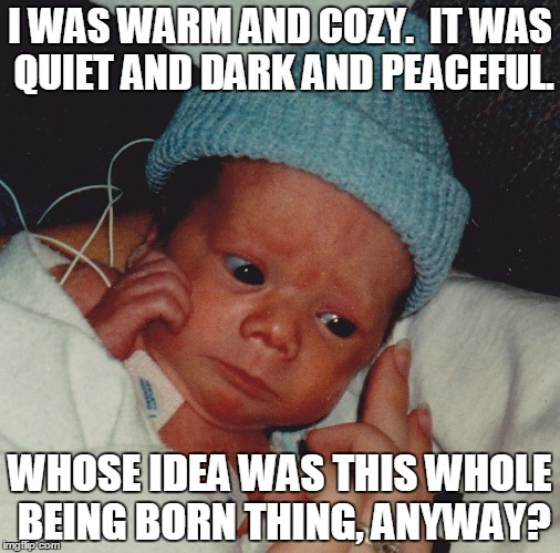 Whose idea was this whole being born thing, anyway? | I WAS WARM AND COZY.  IT WAS QUIET AND DARK AND PEACEFUL. WHOSE IDEA WAS THIS WHOLE BEING BORN THING, ANYWAY? | image tagged in happy birthday,peaceful,birth,birthday,grumpy,grumpy birthday | made w/ Imgflip meme maker