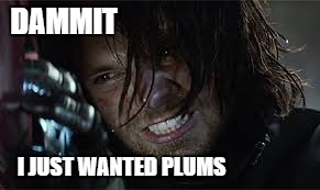 DAMMIT; I JUST WANTED PLUMS | image tagged in marvel civil war | made w/ Imgflip meme maker