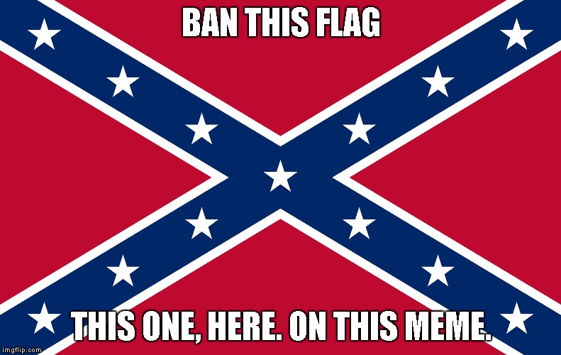 BAN THIS FLAG; THIS ONE, HERE. ON THIS MEME. | image tagged in confederate flag | made w/ Imgflip meme maker