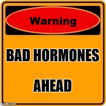 Warning Sign Meme | BAD HORMONES; AHEAD | image tagged in memes,warning sign | made w/ Imgflip meme maker
