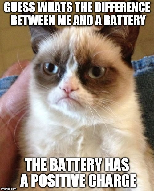Grumpy Cat | GUESS WHATS THE DIFFERENCE BETWEEN ME AND A BATTERY; THE BATTERY HAS A POSITIVE CHARGE | image tagged in memes,grumpy cat,battery,mad,positive,negative | made w/ Imgflip meme maker