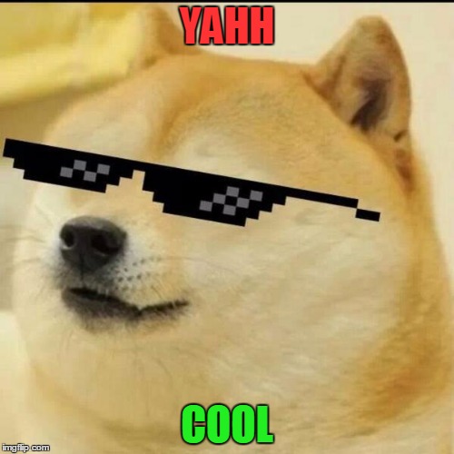 Sunglass Doge | YAHH; COOL | image tagged in sunglass doge | made w/ Imgflip meme maker
