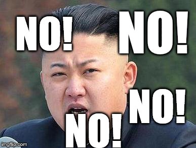 Bad Pun KimJongUn  | NO! NO! NO! NO! | image tagged in bad pun kimjongun | made w/ Imgflip meme maker