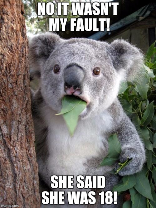 Surprised Koala | NO IT WASN'T MY FAULT! SHE SAID SHE WAS 18! | image tagged in memes,surprised koala | made w/ Imgflip meme maker