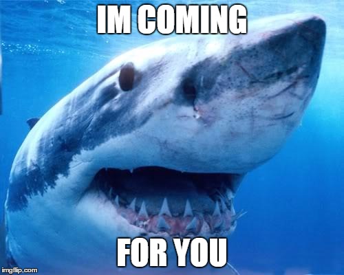 animals | IM COMING; FOR YOU | image tagged in animals | made w/ Imgflip meme maker