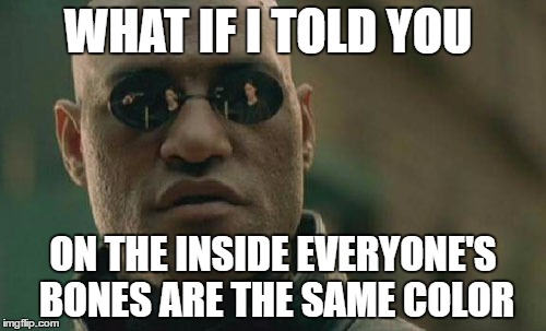 Matrix Morpheus Meme | WHAT IF I TOLD YOU; ON THE INSIDE EVERYONE'S BONES ARE THE SAME COLOR | image tagged in memes,matrix morpheus | made w/ Imgflip meme maker