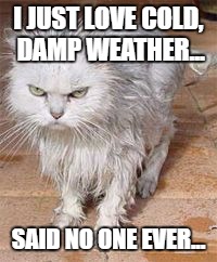 I JUST LOVE COLD, DAMP WEATHER... SAID NO ONE EVER... | image tagged in jj | made w/ Imgflip meme maker