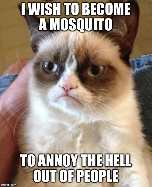 Grumpy Cat Meme | I WISH TO BECOME A MOSQUITO; TO ANNOY THE HELL OUT OF PEOPLE | image tagged in memes,grumpy cat | made w/ Imgflip meme maker