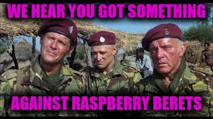 They wore raspberry berets | WE HEAR YOU GOT SOMETHING; AGAINST RASPBERRY BERETS | image tagged in funny,soldier | made w/ Imgflip meme maker