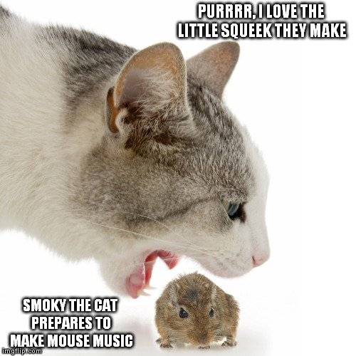 cat mouse | PURRRR, I LOVE THE LITTLE SQUEEK THEY MAKE; SMOKY THE CAT PREPARES TO MAKE MOUSE MUSIC | image tagged in cat mouse | made w/ Imgflip meme maker